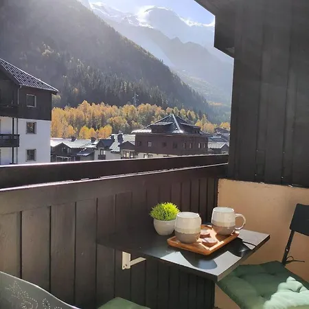 Apartment Superbe 2 Pieces, Centre Vue Mont-blanc Avec Balcon Et Parking Gratuit Chamonix