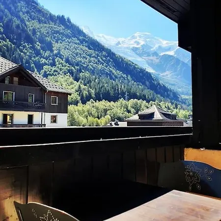 Apartment Superbe 2 Pieces, Centre Vue Mont-blanc Avec Balcon Et Parking Gratuit *