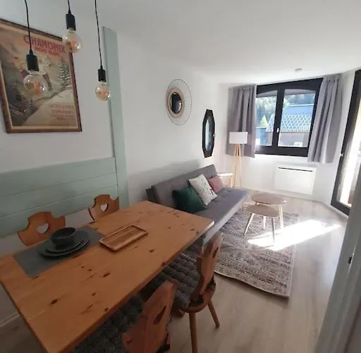 아파트 Superbe 2 Pieces, Centre Vue Mont-blanc Avec Balcon Et Parking Gratuit 샤모니